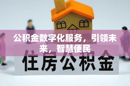 贵溪公积金数字化服务，引领未来，智慧便民