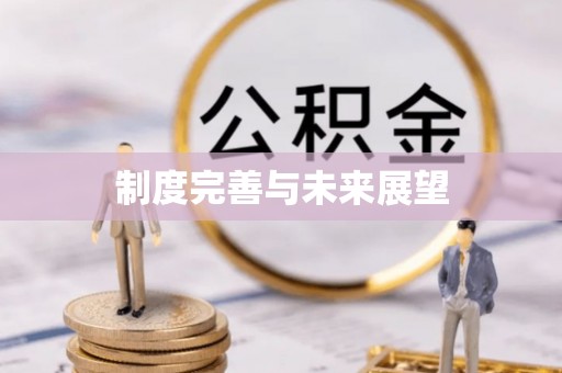 贵溪制度完善与未来展望