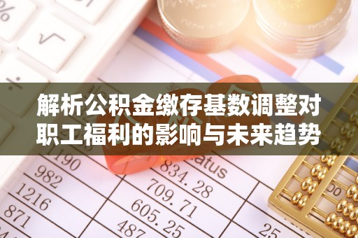 贵溪解析公积金缴存基数调整对职工福利的影响与未来趋势