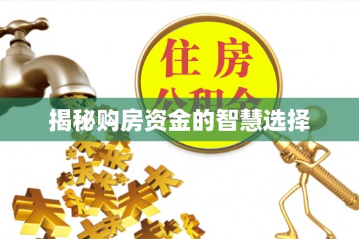 贵溪揭秘购房资金的智慧选择