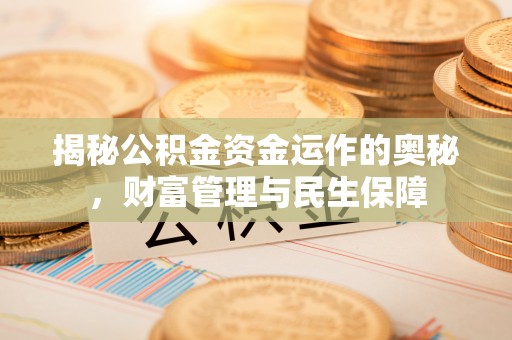 贵溪揭秘公积金资金运作的奥秘，财富管理与民生保障