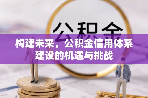 贵溪构建未来，公积金信用体系建设的机遇与挑战