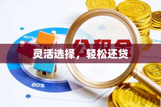 贵溪灵活选择，轻松还贷