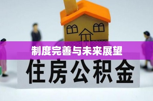 贵溪制度完善与未来展望