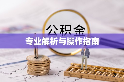 贵溪专业解析与操作指南