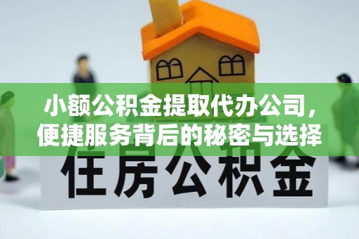 贵溪小额公积金提取代办公司，便捷服务背后的秘密与选择指南