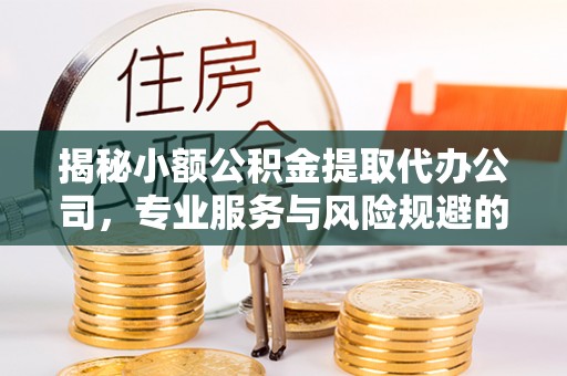 贵溪揭秘小额公积金提取代办公司，专业服务与风险规避的平衡艺术