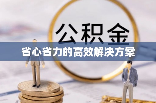 贵溪省心省力的高效解决方案