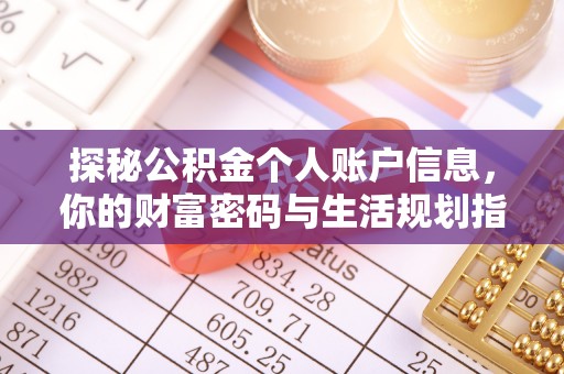贵溪探秘公积金个人账户信息，你的财富密码与生活规划指南