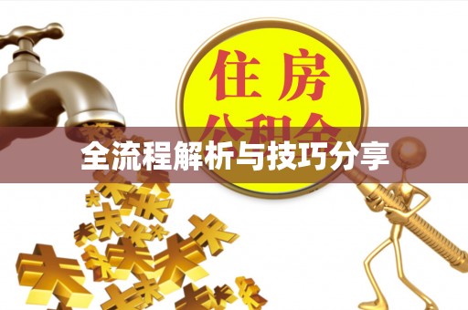 贵溪全流程解析与技巧分享
