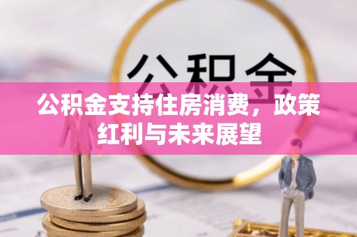 贵溪公积金支持住房消费，政策红利与未来展望