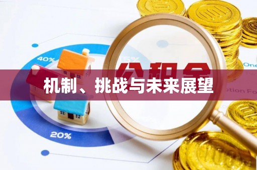 贵溪机制、挑战与未来展望