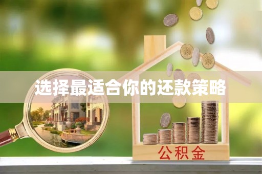 贵溪选择最适合你的还款策略
