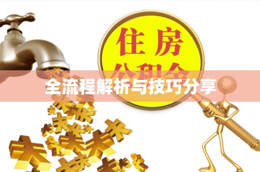 贵溪全流程解析与技巧分享